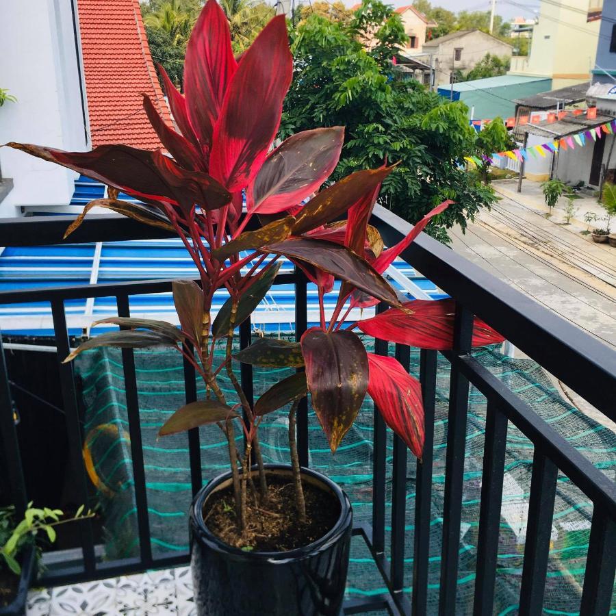 An Bang Sea Adventure Homestay Hoi An Exterior photo