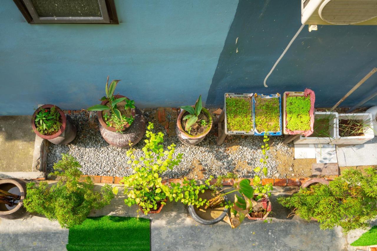An Bang Sea Adventure Homestay Hoi An Exterior photo